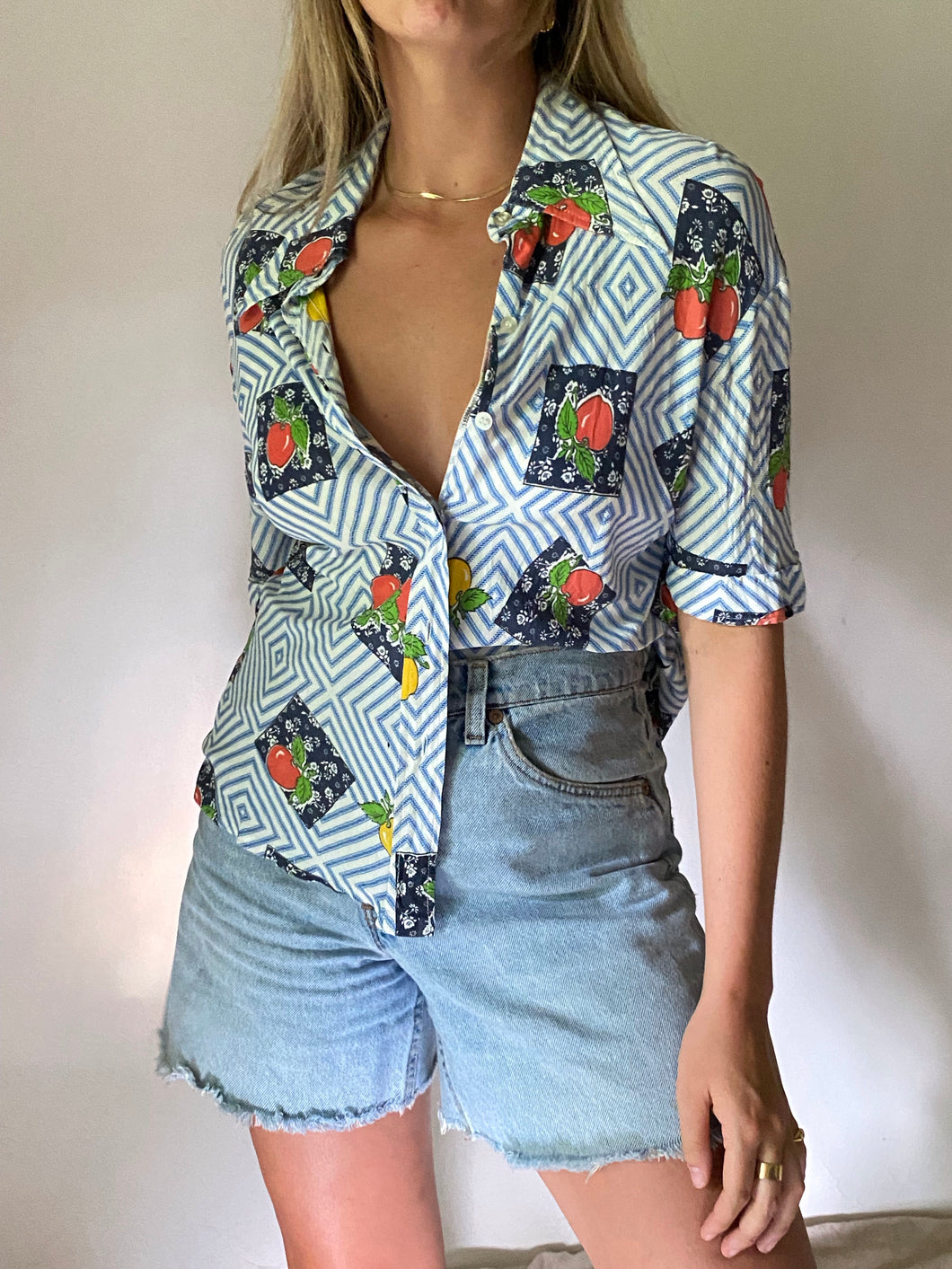 70s Beach Snacks Button up